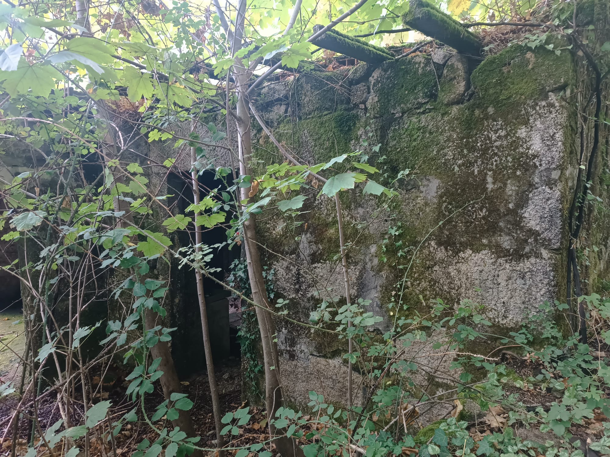 Ruina p/ recuperação em Vila do Gerês c/ 3.650 de terreno plano c/ Riacho.