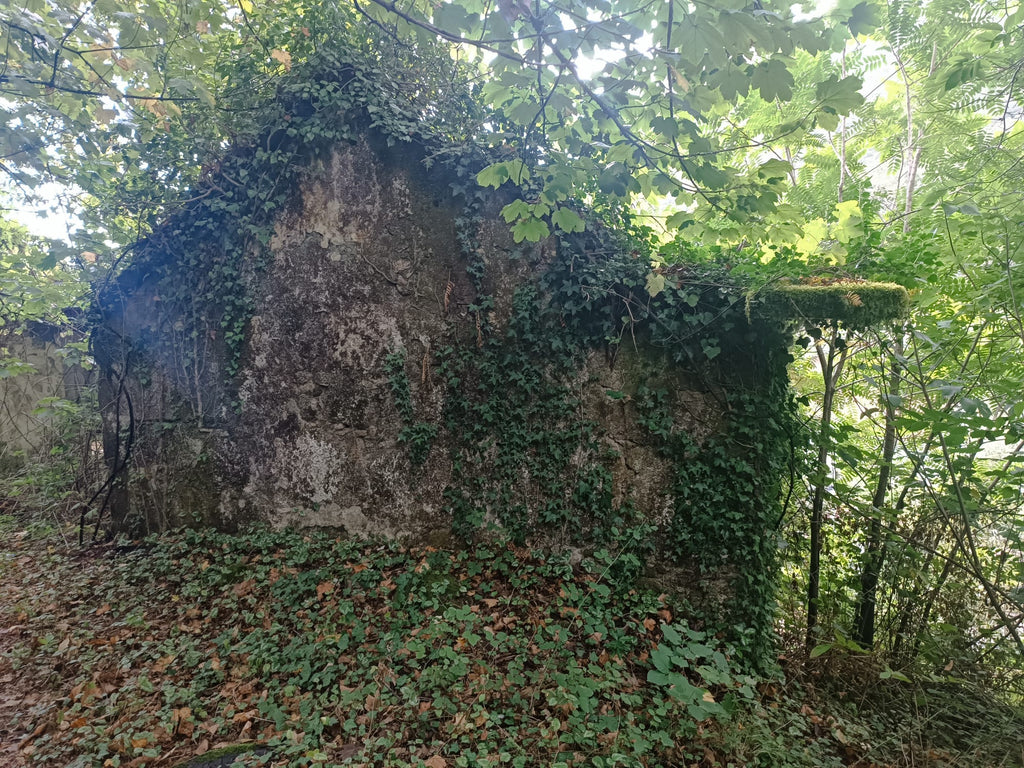 Ruina p/ recuperação em Vila do Gerês c/ 3.650 de terreno plano c/ Riacho.