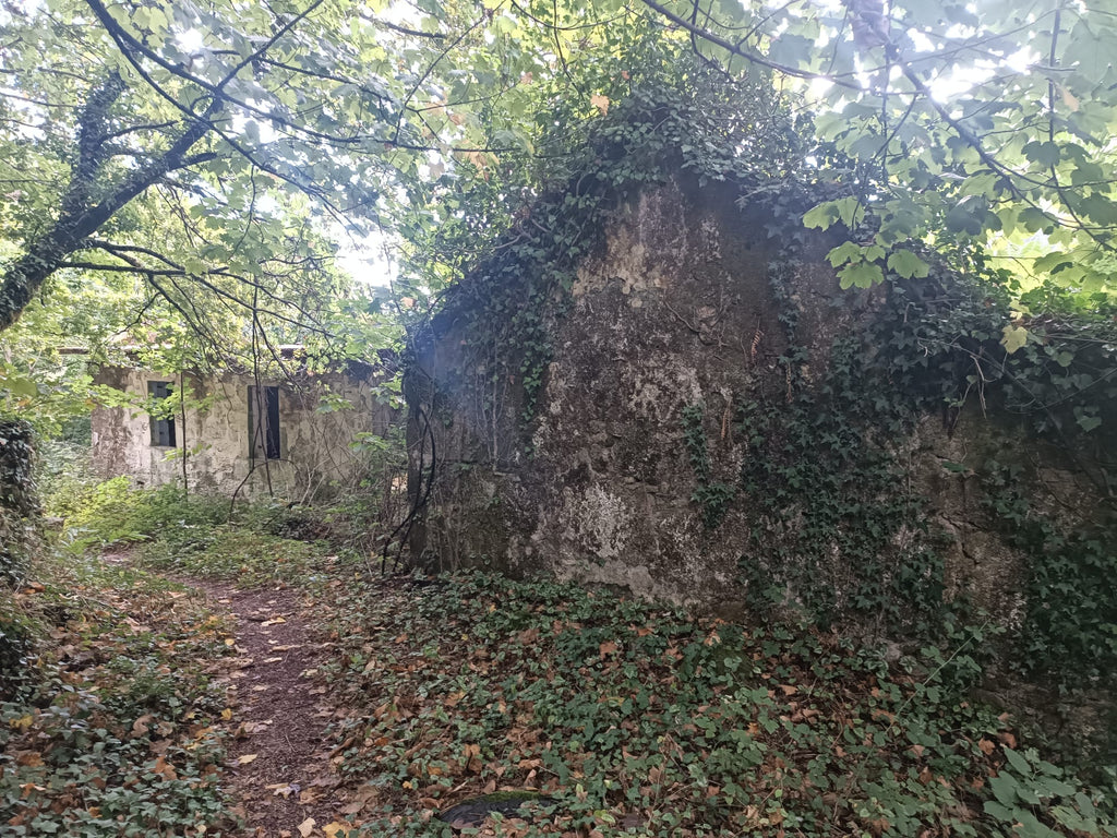 Ruina p/ recuperação em Vila do Gerês c/ 3.650 de terreno plano c/ Riacho.