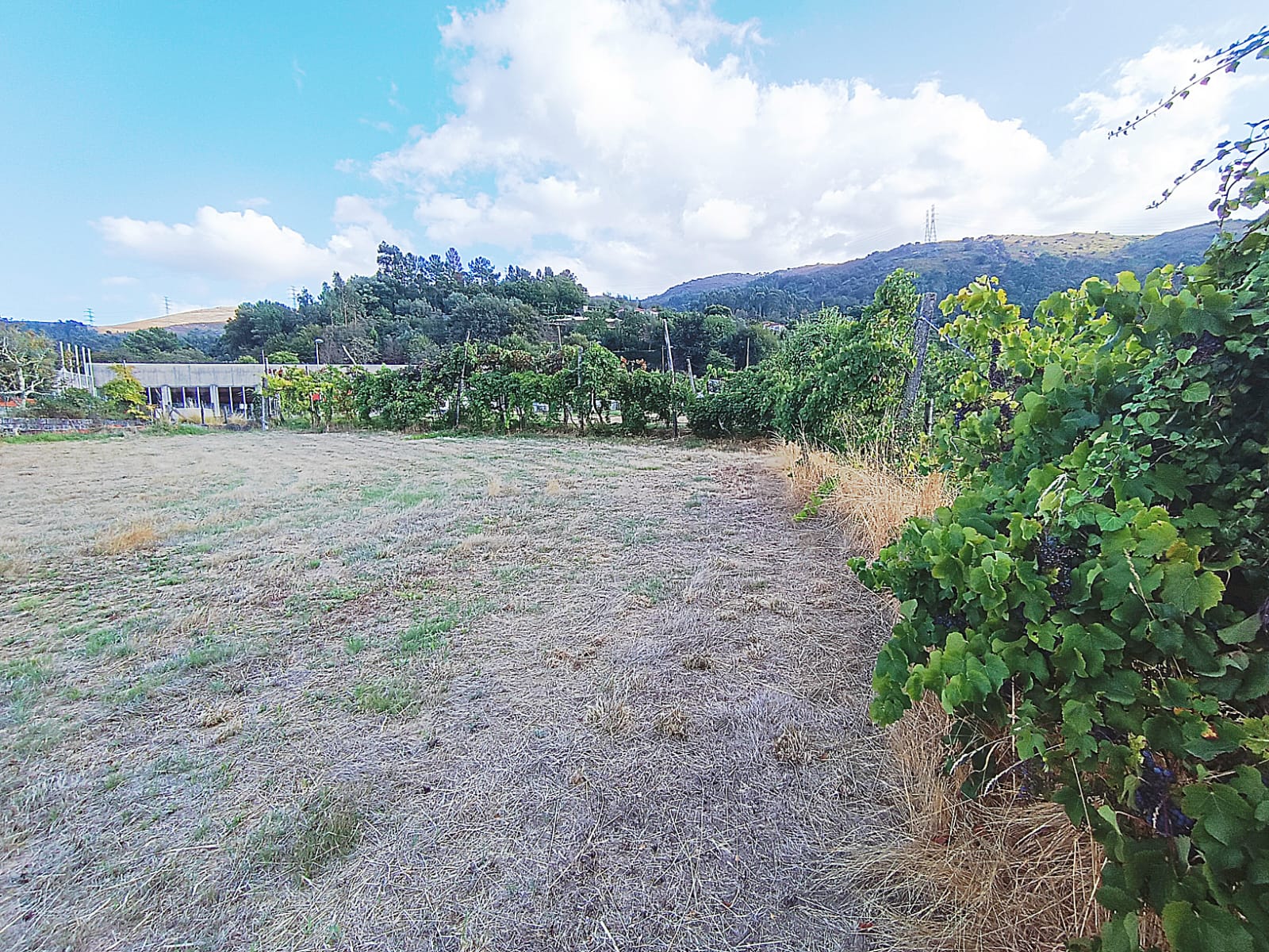 Terreno Urbano em Louredo Gerês c/ 1034m2, todo plano