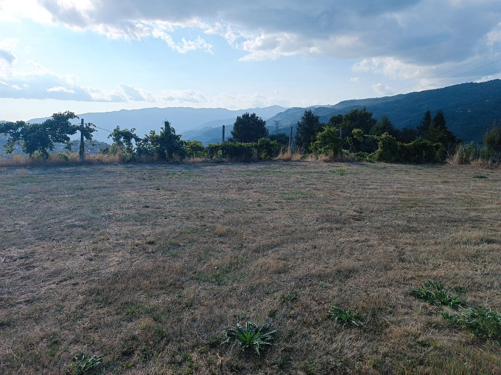 Terreno Urbano em Louredo Gerês c/ 1034m2, todo plano